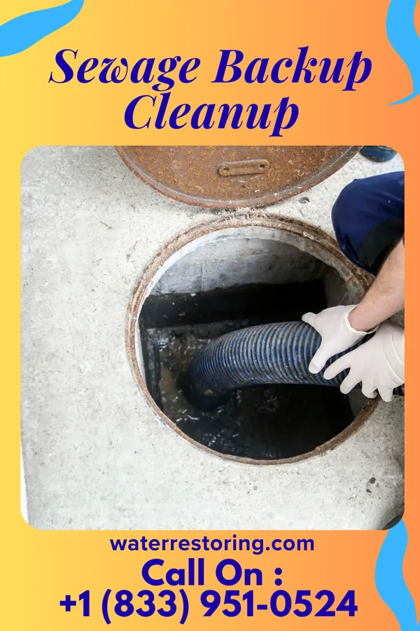 Sewage Backup Cleanup in Millersburg, PA
