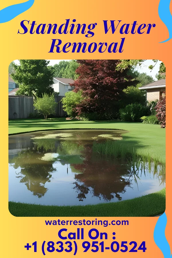 Standing Water Removal in Millersburg, PA